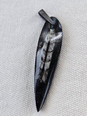 Genuine Orthoceras Fossil Pendant marked 925
